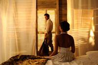 Кадр Пальмы в снегу