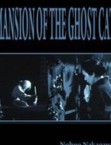 Дом с кошкой-призраком