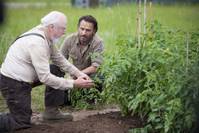 Кадр Ходячие мертвецы