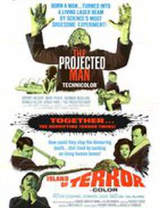 Человек – проекция