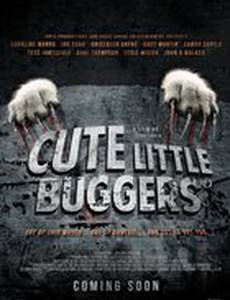 Cute Little Buggers