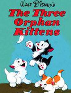 Три котенка беспризорника