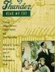 Раскаты грома, услышьте мой плач