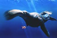 Кадр Кибермир