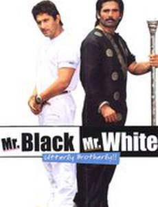 Мистер Уайт и мистер Блэк