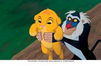 Кадр Король Лев