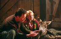 Кадр Бешеные скачки