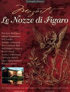 Свадьба Фигаро