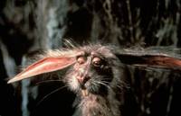 Кадр Бесконечная история