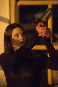 Кадр Континуум