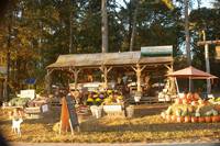 Кадр Обнаженное искушение