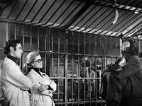 Кадр Бегство с планеты обезьян