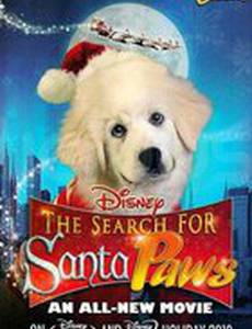 В поисках Санта Лапуса (видео)