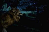 Кадр Реальные упыри