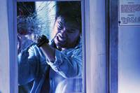 Кадр Вирусный фактор