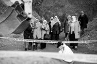 Кадр Бельведере