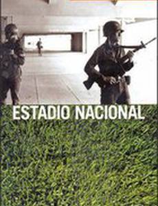 Национальный стадион