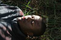 Кадр Теория убийств