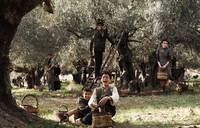 Кадр Баария