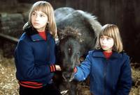 Кадр Близнецы из Имменхофа