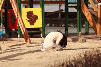 Кадр Сломленный