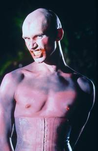 Кадр Книги Просперо