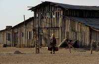 Кадр Висельник