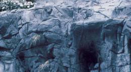 Кадр из фильма "Боязнь высоты" - 1