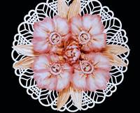 Кадр Приятель