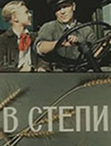 В степи