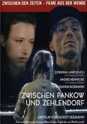 Между Панковом и Целендорфом