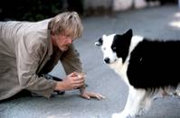 Кадр Без гроша в Беверли Хиллз