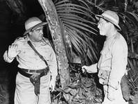 Кадр Африка зовёт