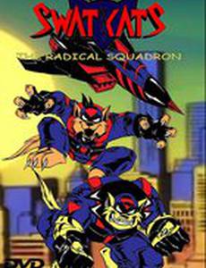 Коты быстрого реагирования