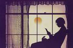 Цветы лиловые полей