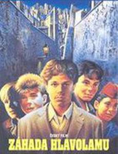 Тайна головоломки