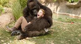 Кадр из фильма "Старые псы" - 2