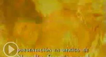 Вступительные титры