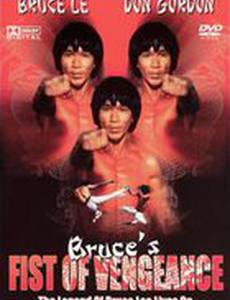 Bruce's Fists of Vengeance