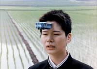 Кадр Вкус чая