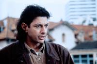 Кадр Сон безумной обезьяны