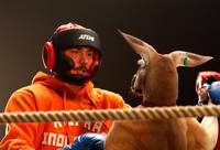 Кадр Бой с тенью 3: Последний раунд