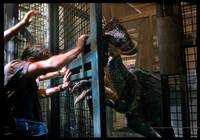 Кадр Парк Юрского периода 3