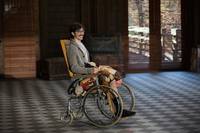 Кадр Бивень