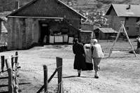 Кадр Бельведере