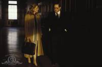 Кадр Розовый сад