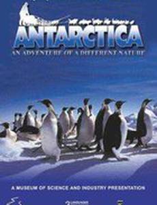 Antarctica