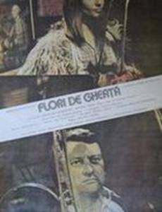 Ледяные цветы