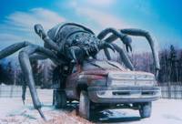 Кадр Арахния (видео)