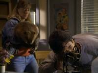 Кадр Северная сторона